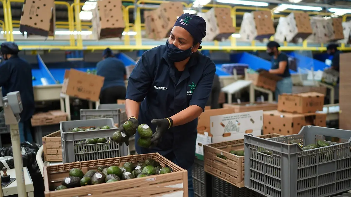 México y EU comercio